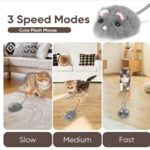 interactive cat toys