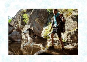 outdoor adventures with pets