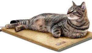 K&H Thermo Kitty heated mat