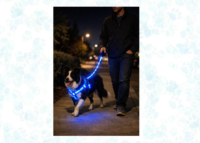 LED pet wearables
