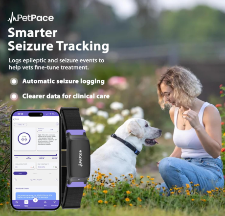 Screenshot 2026-03-14 142734