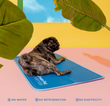 Screenshot 2026-03-14 151636