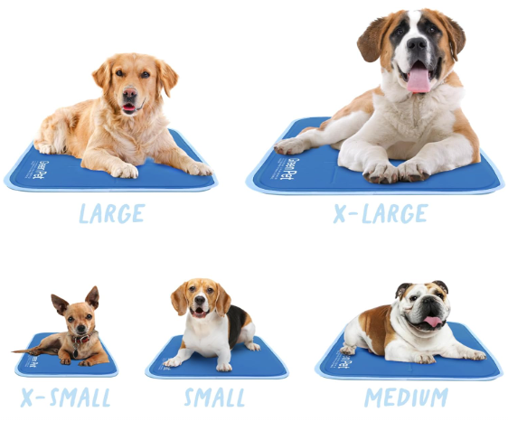 Screenshot 2026-03-14 151655