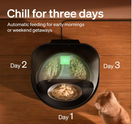 Screenshot 2026-03-15 090925