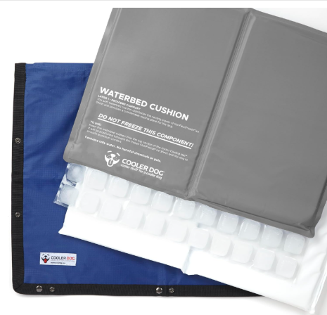 Screenshot 2026-03-15 093956