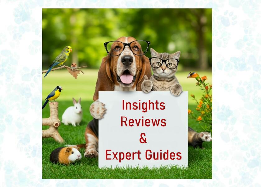 Blog page smart pet technology blog