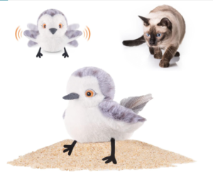 patorama flapping chirping sandpiper