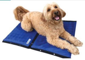 coolerdog hydro cooling mat