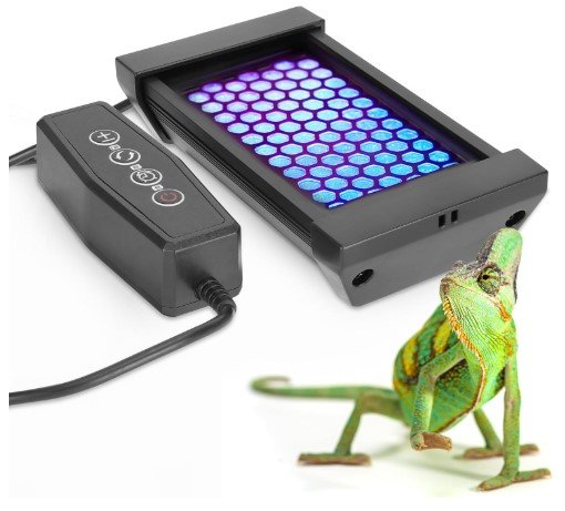 ECKPO Lighting