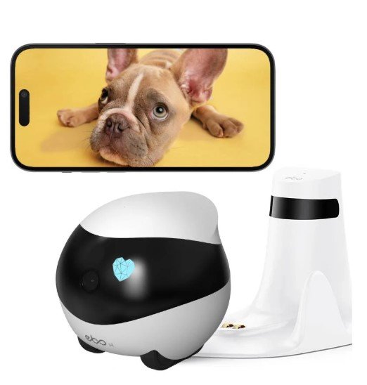 smart dog cameras