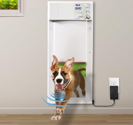 automatic dog door