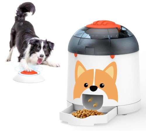 automatic toys for dogs
