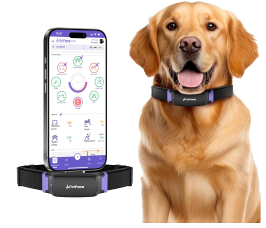 PetPace