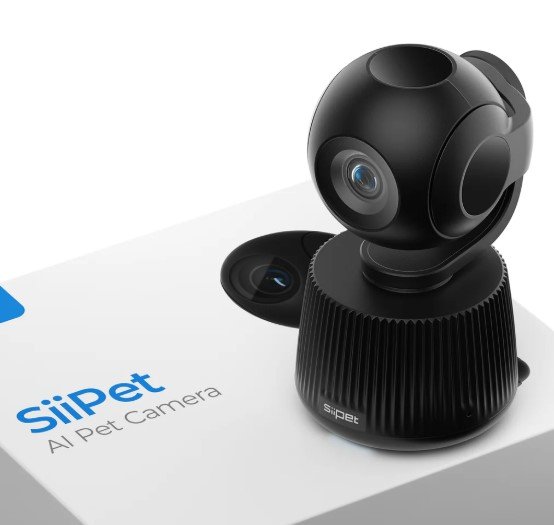 smart tech for dogs