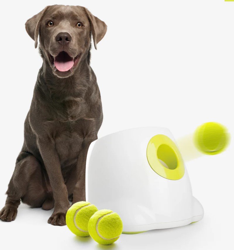 automatic dog toys