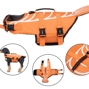 dog swimming life vest
