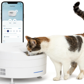 petsafe freshfeed