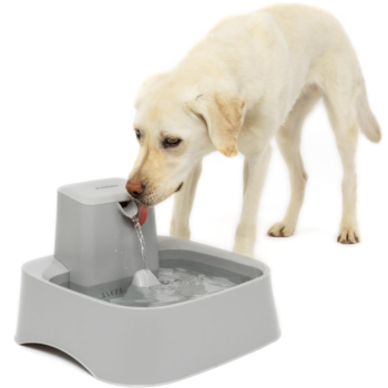 petsafe oasys